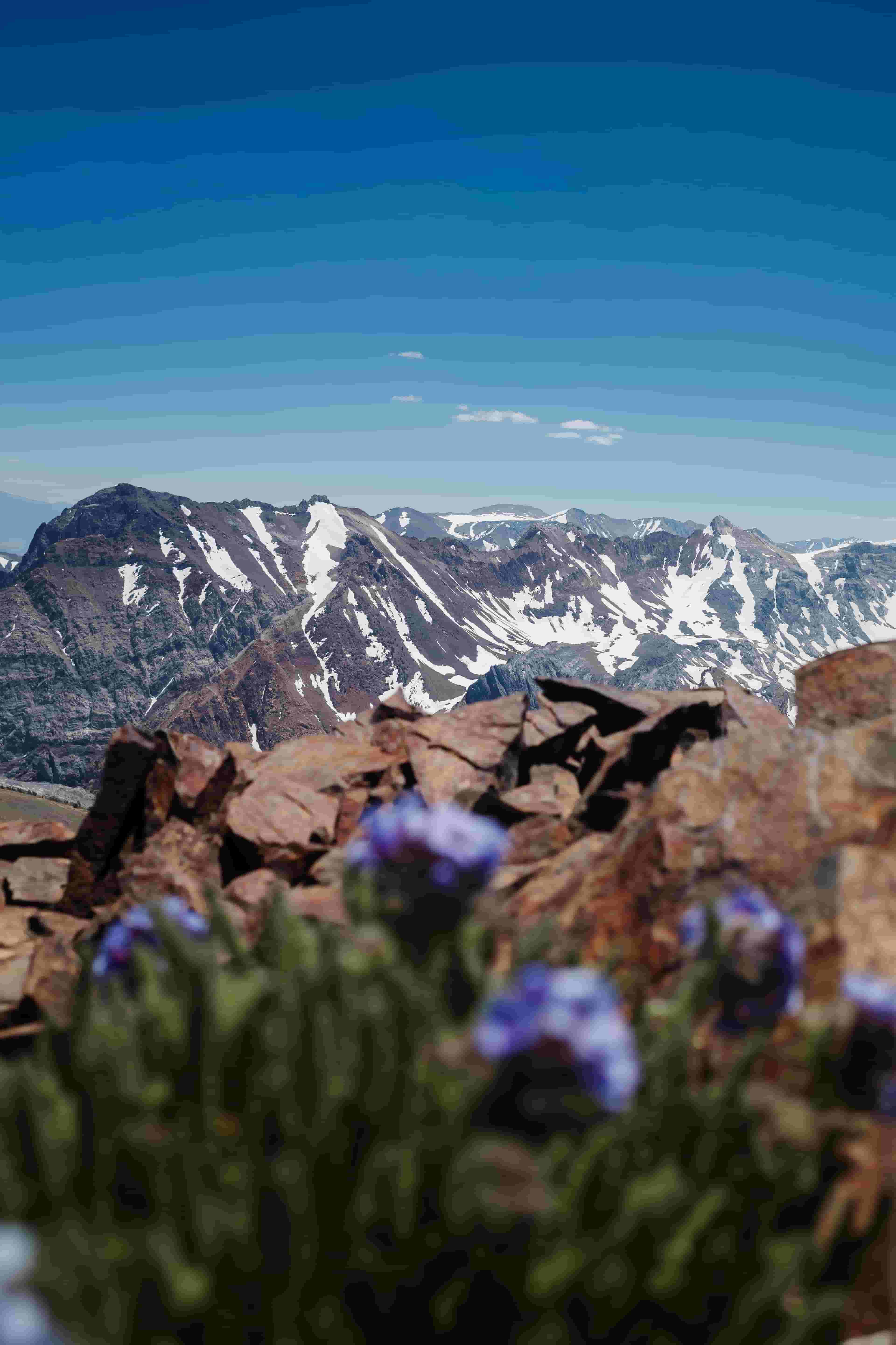 A Bloody (Good) Mountain Run
