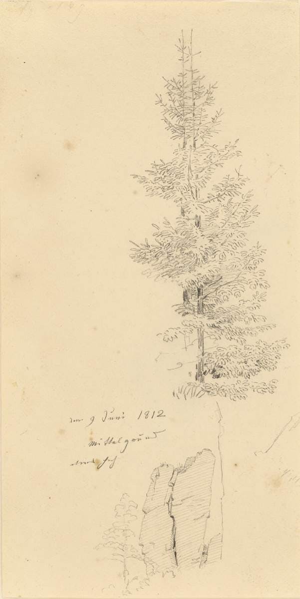 Study of Pine Trees and a Rock (recto); Landscape (verso)