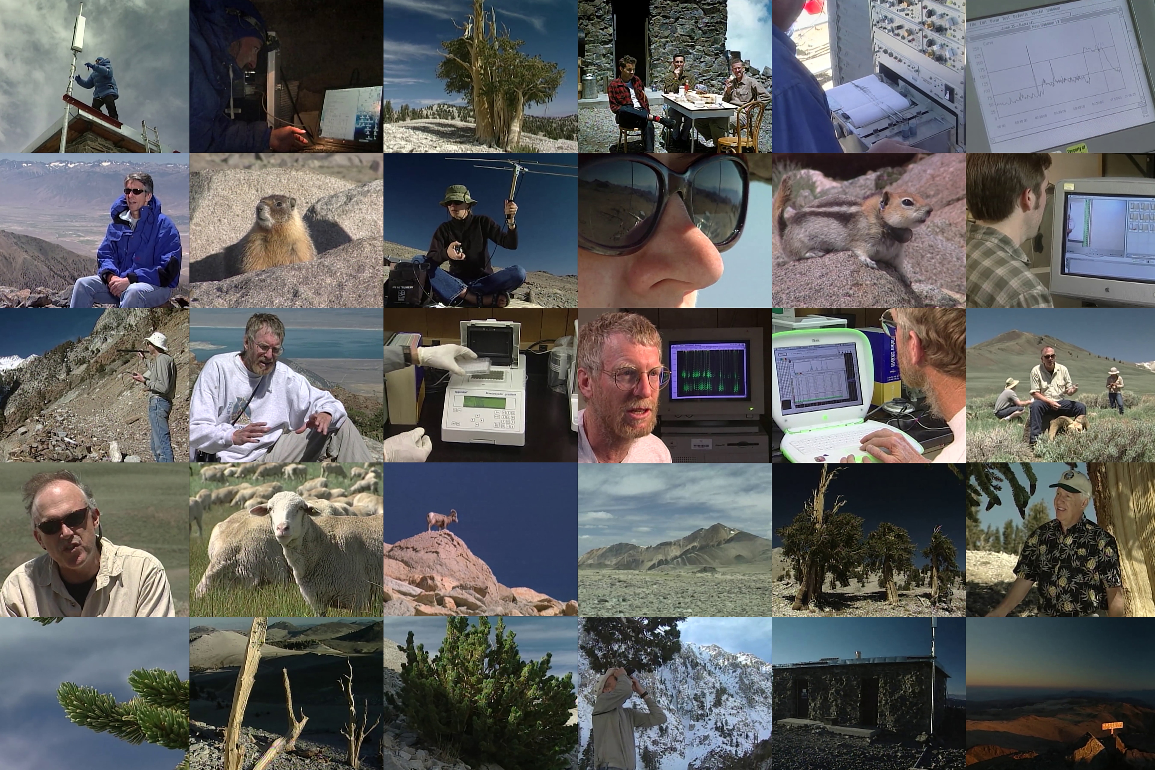 In the Shadow of White Mountain · 11/17/2004, 59 minutes